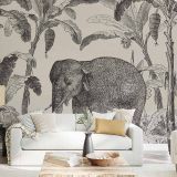 Cara-Saven-Elephant-Island-Interior